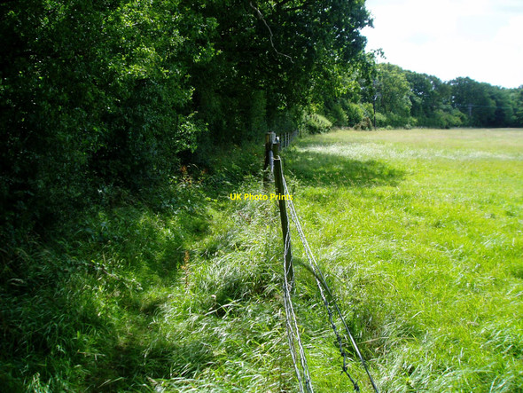 Photo 6"x4" Footpath to Oldland Mill Ditchling c2009