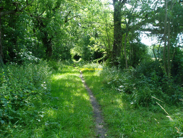 Photo 6"x4" Bridleway to Oldland Mill Ditchling c2009