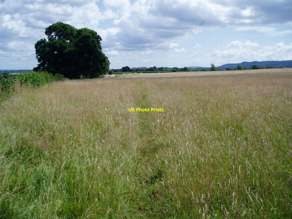 Photo 6"x4" Footpath to Court Gardens Farm Ditchling c2009