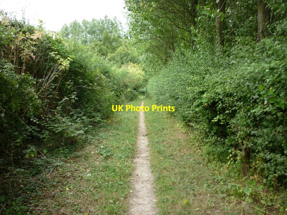 Photo 6"x4" A walk to Cottingham #41 Eppleworth c2010