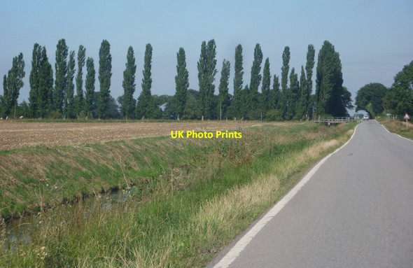 Photo 6"x4" Idle Bank and trees by Thorn Bank Haxey Carr c2010