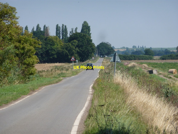 Photo 6"x4" Looking east along Thorn Bank Woodside\/SE7103 c2010