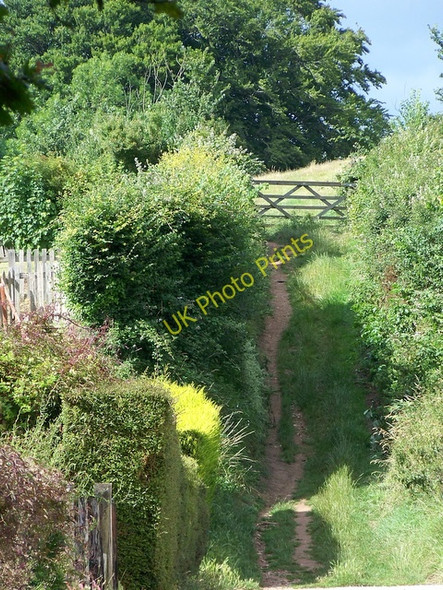 Photo 6"x4" Footpath, Otterton North Star c2009