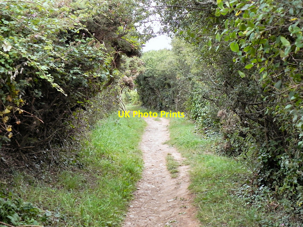 Photo 6"x4" South West Coast Path Falmouth c2010