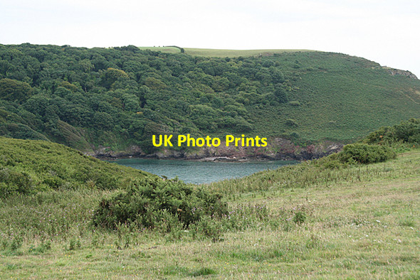 Photo 6"x4" Wembury: towards Brakehill Plantation Wembury c2010