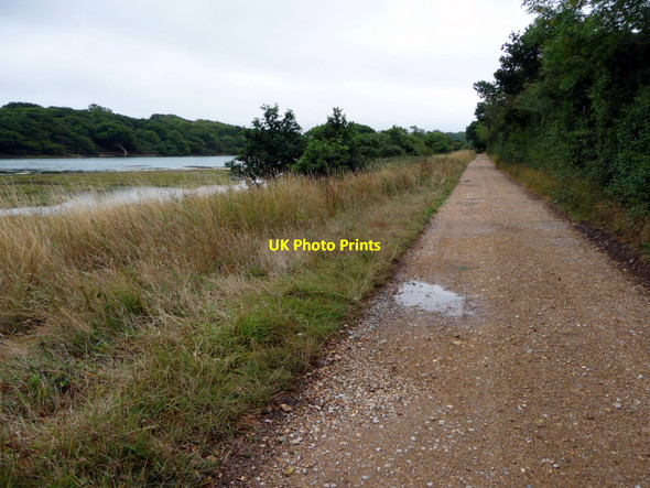 Photo 6"x4" Footpath by Shalfleet Lake, Isle of Wight Shalfleet c2010