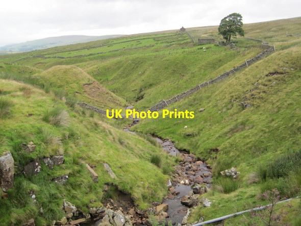 Photo 6"x4" Whetstonemea Burn near Mutton Hall Coalcleugh\/NY8045 c2010
