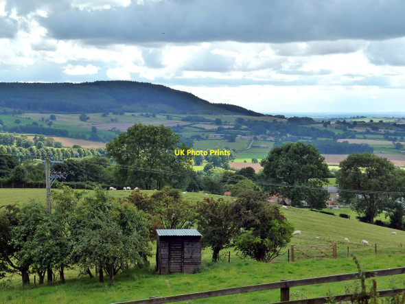 Photo 6"x4" Shed in Field by Ruebury Lane, Osmotherley Osmotherley c2010
