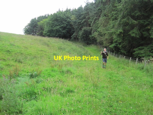 Photo 6"x4" Footpath near Slaley Woods Slaley\/NY9757 c2010