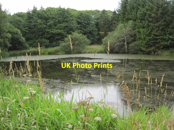 Photo 6"x4" Pond near Woodfoot Slaley\/NY9757 c2010