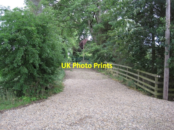 Photo 6"x4" Footpath towards East Woodfoot Slaley\/NY9757 c2010