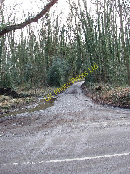 Photo 6"x4" Old Shire Lane, Chalfont St Peter Chalfont Common c2006