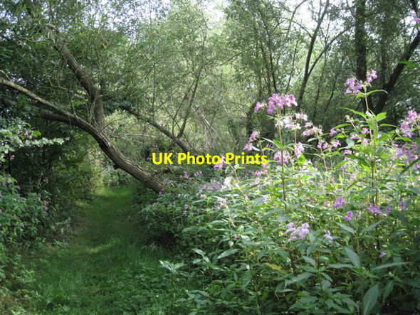 Photo 6"x4" Footpath by the River Blythe Barston c2010