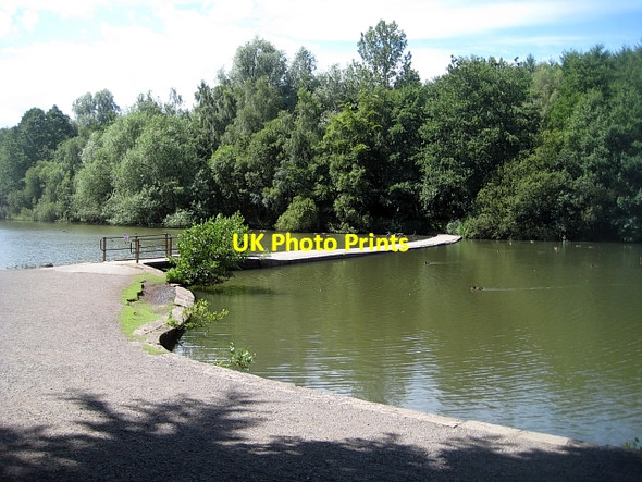 Photo 6"x4" Newmillerdam Country Park-Causeway (1) Newmillerdam c2010