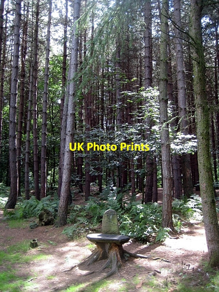 Photo 6"x4" Newmillerdam Country Park-seat Newmillerdam c2010