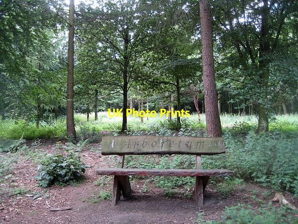 Photo 6"x4" Newmillerdam Country Park-Arboretum (3) Newmillerdam c2010