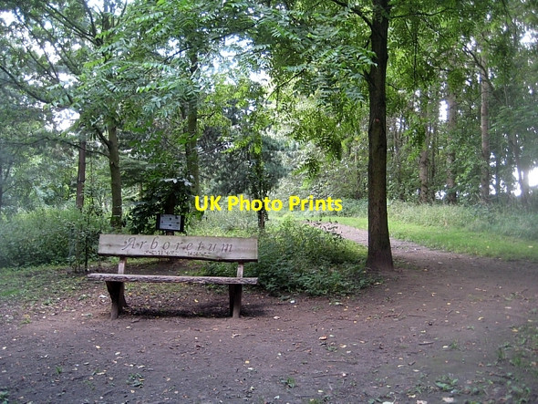 Photo 6"x4" Newmillerdam Country Park-Arboretum (7) Newmillerdam c2010