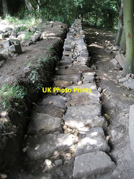 Photo 6"x4" Newmillerdam Country Park-Boundary wall (2) Newmillerdam c2010