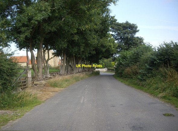 Photo 6"x4" Approach to Aldbrough St John Aldbrough St John c2010