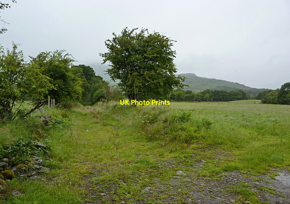 Photo 6"x4" Grassy track Bunane c2010