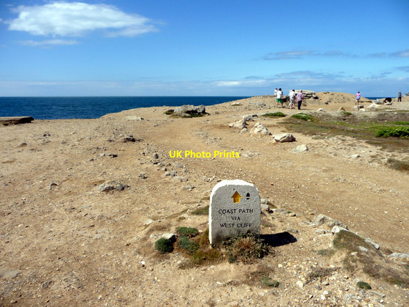 Photo 6"x4" Coastal Path, Portland Bill, Dorset Southwell\/SY6870 c2010