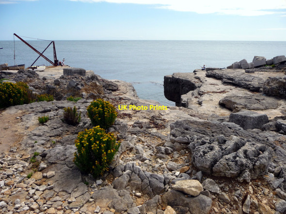 Photo 6"x4" Cliff top, Portland Bill, Dorset Southwell\/SY6870 c2010