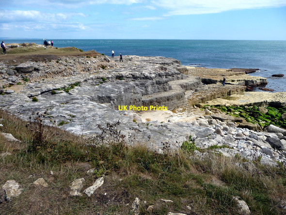 Photo 6"x4" Cliff top, Portland Bill, Dorset Southwell\/SY6870 c2010 P1