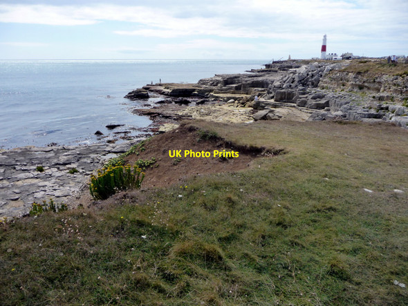 Photo 6"x4" Cliff top, Portland Bill, Dorset Southwell\/SY6870 c2010 P2