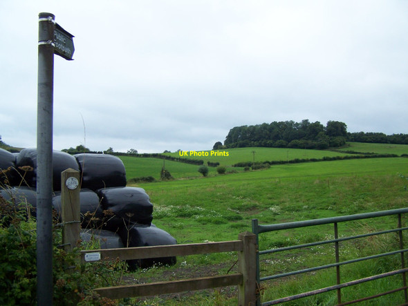 Photo 6"x4" Footpath From Newland To Upper Redbrook Newland\/SO5509 c2010