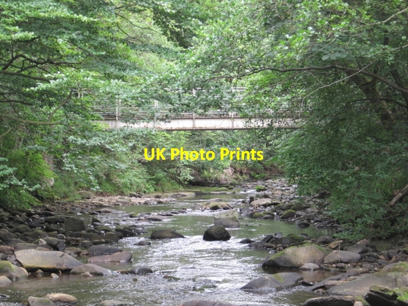 Photo 6"x4" Pethfoot Bridge and Devil's Water Dukesfield\/NY9457 c2010