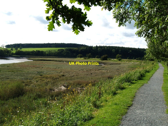 Photo 6"x4" Along the Embankment, Kirkcudbright. Kirkcudbright c2010