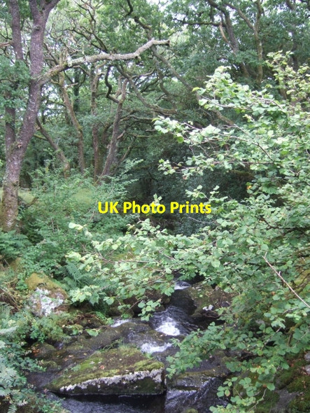 Photo 6"x4" Stream south of Longash, Merrivale Merrivale\/SX5475 c2010