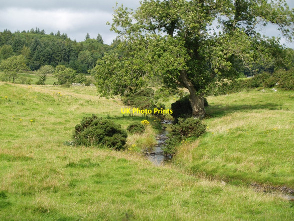 Photo 6"x4" Kirk Burn, Twynholm Twynholm c2010