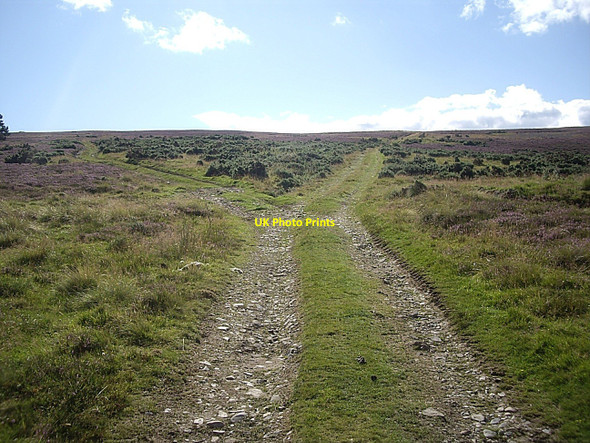 Photo 6"x4" Track junction on flank of Gallows Hill Towie\/NJ4312 c2010
