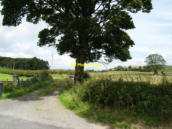 Photo 6"x4" Auchengassel Roadend Twynholm c2010