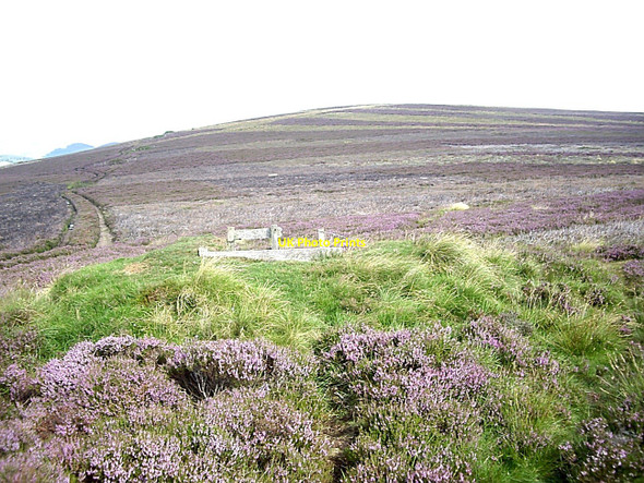 Photo 6"x4" 4wd access to the grouse butts on Gallows Hill Towie\/NJ4312 c2010
