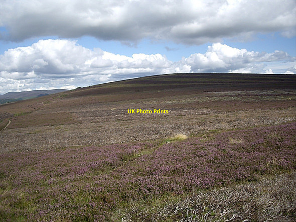 Photo 6"x4" Gallows Hill summit Towie\/NJ4312 c2010