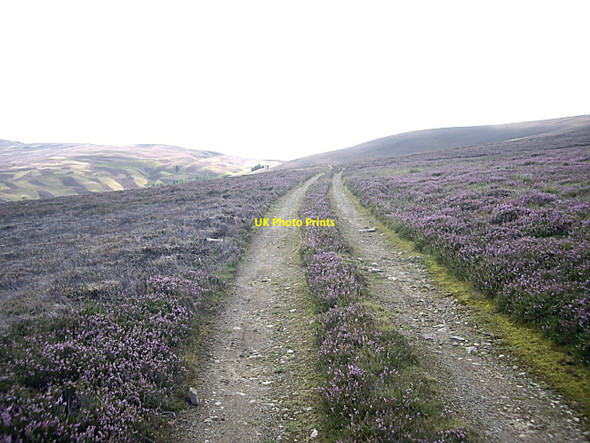 Photo 6"x4" Summit of track from Rippachie to Tarland Migvie c2010