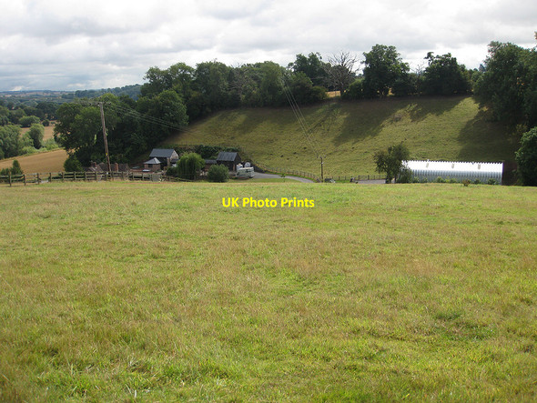 Photo 6"x4" Red Rail Farm Red Rail c2010