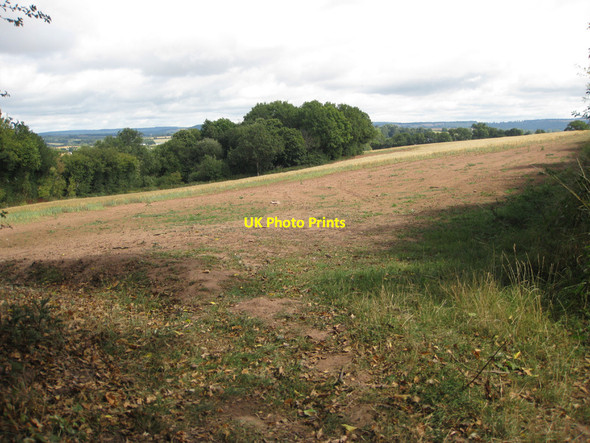 Photo 6"x4" Farmland sloping down to the Wye Kynaston\/SO5427 c2010