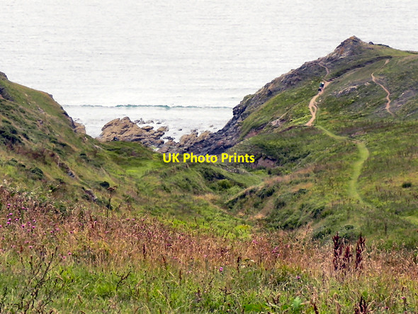 Photo 6"x4" Caerthillian Cove Lizard c2010