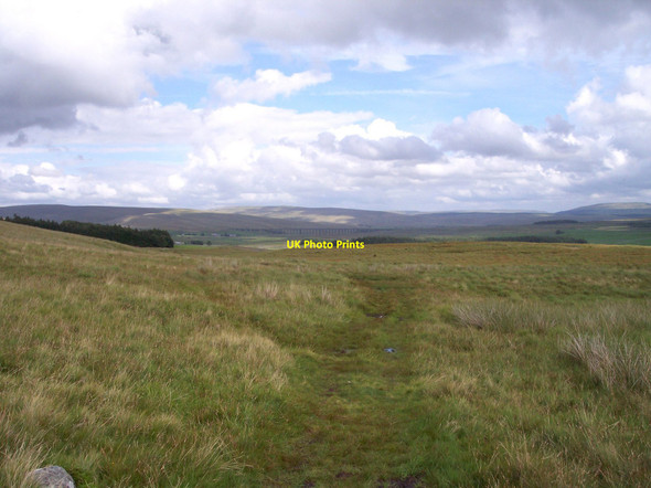 Photo 6"x4" The path to Ellerbeck crosses Scales Moor Chapel-le-Dale c2010