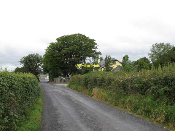 Photo 6"x4" Road by Jockeyhall Kennels Crecora c2010
