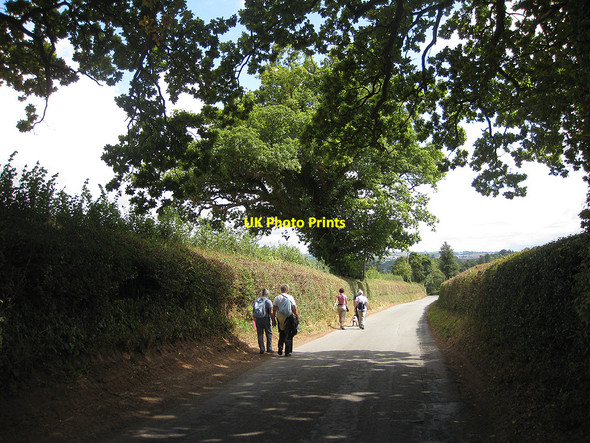 Photo 6"x4" Walkers on the Hoarwithy Loop Kynaston\/SO5427 c2010