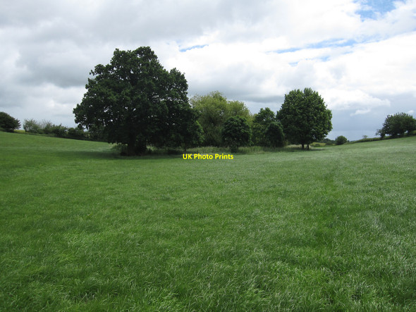 Photo 6"x4" Trees around the pond Rede c2010
