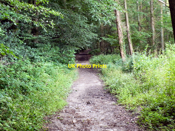 Photo 6"x4" Footpath to Saint Hill Saint Hill c2010