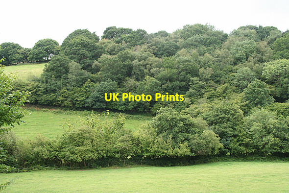 Photo 6"x4" Ilsington: east from Owlacombe Bridge Sigford c2010