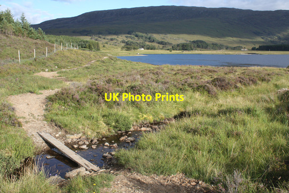 Photo 6"x4" Plank bridge on footpath by Loch Coulin Coulin Lodge c2010
