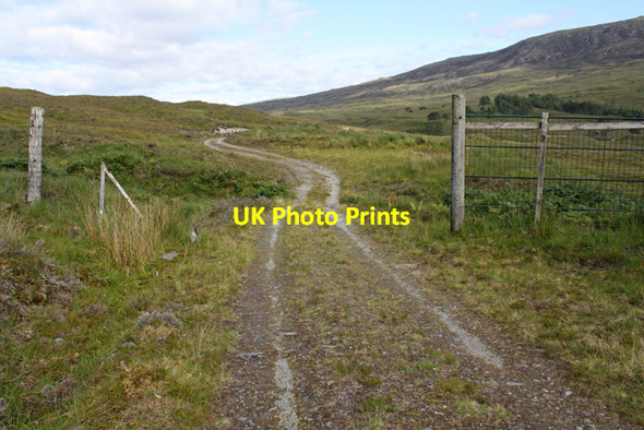 Photo 6"x4" Track leaving plantation north of Torran Cuilinn Coulin Lodge c2010