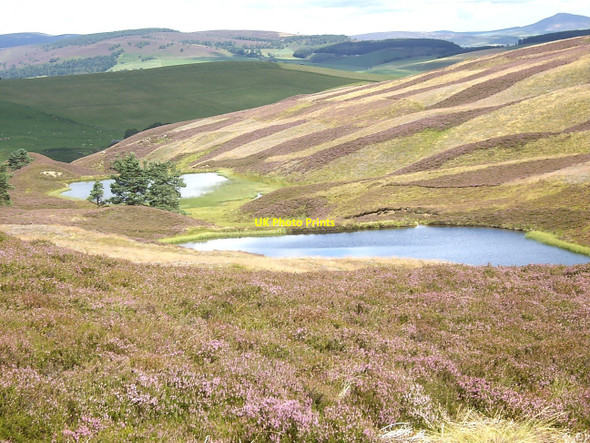 Photo 6"x4" Lazy Well lochans Migvie c2010